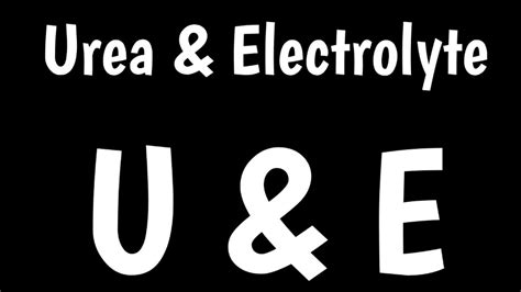 urea and electrolytes|urea and electrolytes interpretation.